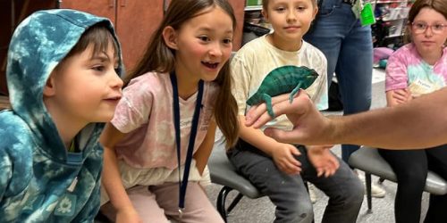 Zoology science camp class for Kids animals biology - 1 of 17